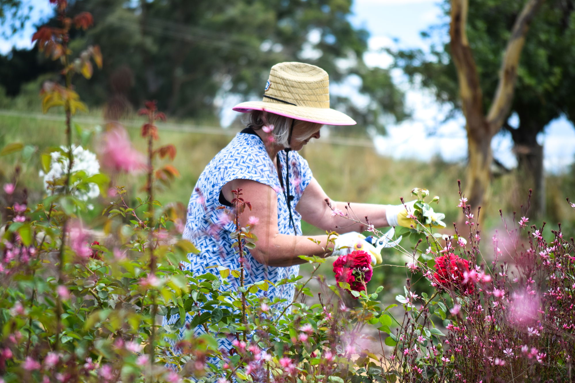 Friends of the Garden 1