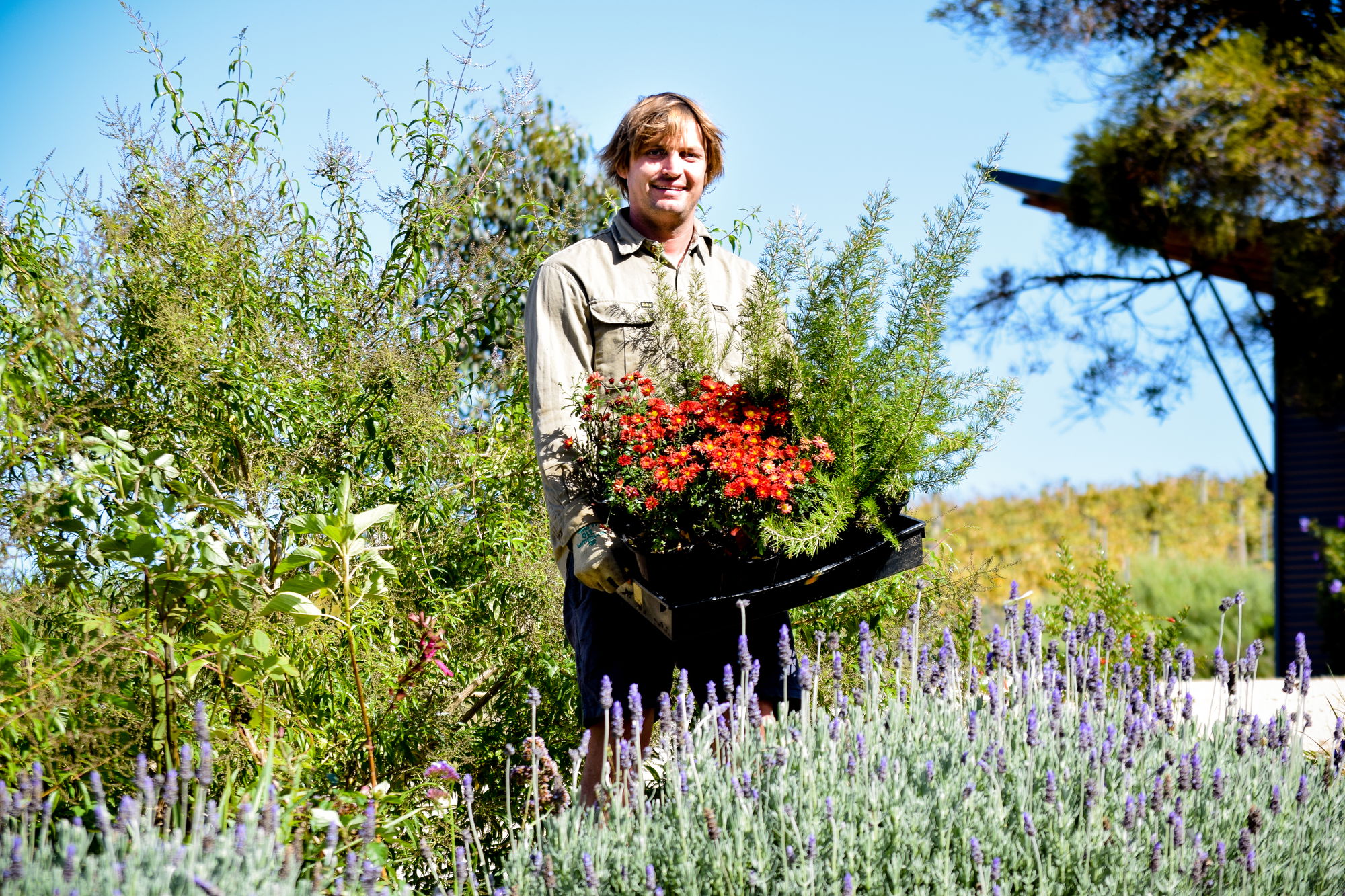 Adam Hancock in the garden