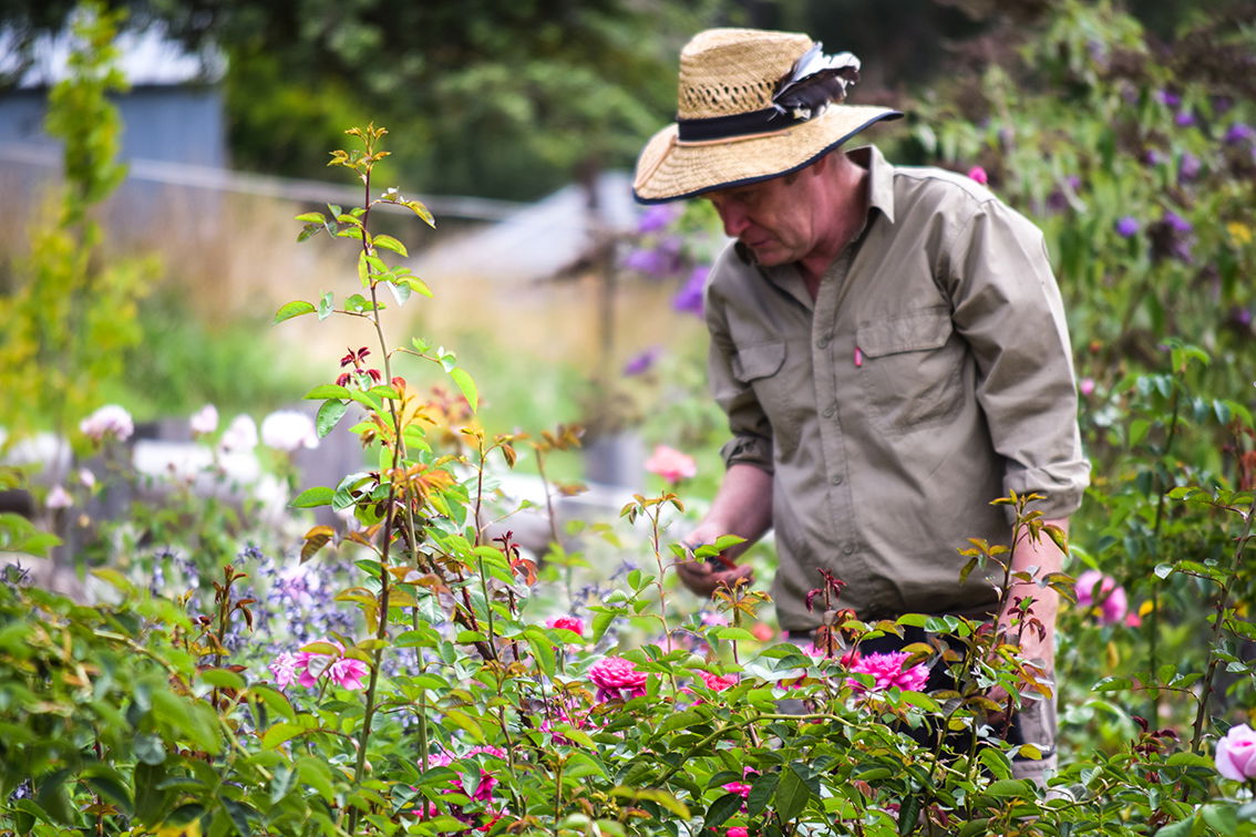 Andrew Plummer in the Garden